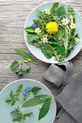 Healthy spring plants for food ingredients. Dandelion, wild garlic, flowers and nettle background