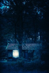 Cabin in forest at night.
