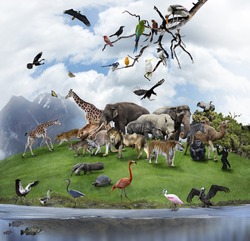 Nature Collage With  Wild Animals And Birds 
