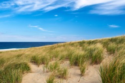 Landscape with sand dunes at Cape Cod, Massachusetts, USA. 