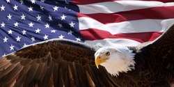Bald eagle taking flight in front of an American flag