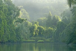 Rio Sirena River in Corcovado National Park, Costa Rica