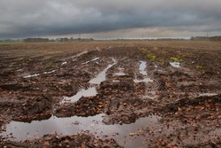 Potato field after harvest in autumn: puddles in tyre tracks under dark clouds