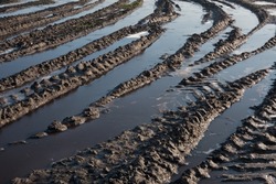Tire tracks of heavy agricultural machinery filled with frozen puddles on a muddy field