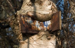 Rusty sign with in Dutch the words forbidden entry nailed to a tree, grown in the bark. almost unreadable