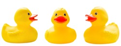 rubber ducks isolated on a white background