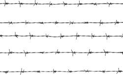 five pieces of barbed wire