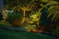 Landscaped Garden Evening Illumination Idea. Spot Lighting of Different Trees, Bushes and Shrubs at the Backyard of Living House.