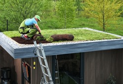 Professional Caucasian Gardener Building Sedum Green Roof on Top of a Modern Shed