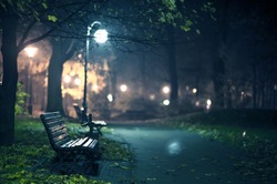 A Night in the Park. Late Autumn Night in the Park. Wood Benches and Park Alley. Horizontal Photography. Central Europe