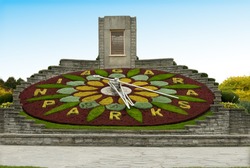 clock flower of Niagara Park, Niagara Falls, Ontario, Canada