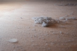 Dust nad Dirt on a Wooden Floor. Dirty Floor under Bed. Colonies of Dust Bunnies Underneath. Under Bed Floor Duster. Untidiness House.