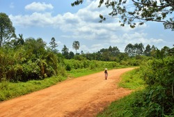 Dirt road in the jungle of Uganda, Africa