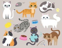 Cute kitty cat vector illustration set with different cat breeds, toys, and food.