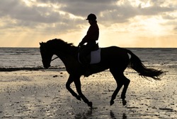 Silhouette of Female Horse Rider Cantering on the Sandy Beach at Sunset