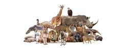 Composite of a large group of wildlife zoo animals together over a white horizontal web banner or social media cover