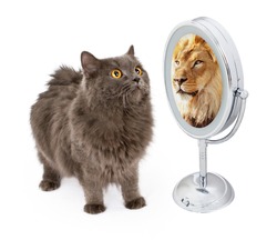 Conceptual image of a cat looking into the mirror and seeing a reflection of a large lion
