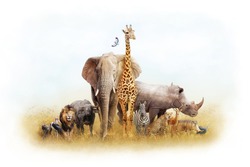 Children's themed African safari animal composite with white border