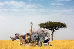 Large group of African safari animals composited together in an open grass field in Kenya, Africa