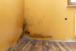 Mold build up in a corner of a poorly hydro isolated house