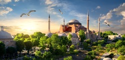 Bird and Hagia Sophia at sunset in Istanbul, Turkey.