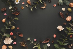 Autumnal-winter concept with dried flowers, branches of eucalyptus, leaves and berries on dark background. Frame of plants. Flat lay, copy space.