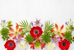 Beautiful Flowers Arrangement. Composition of red anemone,white ranunculus, tropical flowers, green succulent and leaves on light background. Top view, copy space.