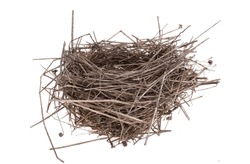 bird's nest isolated on white background