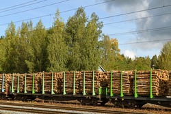 Wagons with birch logs at Hameenlinna railway station. Finland