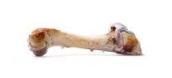 Fresh lamb bone isolated on white background