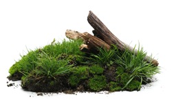 Green moss on soil, dirt pile with tree branches and grass isolated on white background
