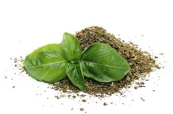 Dry chopped basil and fresh basil green leaves isolated on white  