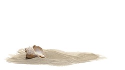 Sea shell in sand pile isolated on white 
