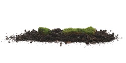 Green moss and pile dirt isolated on white background, with clipping path