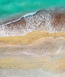 Human and dog footprints on a sandy shore along the sea with breaking waves, aerial vertical shot directly above