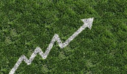 Increasing cost of landscaping and rising lawn care prices or sport as a white painted line on grass shaped as an upward graph arrow representing gardening industry inflation or garden budget.