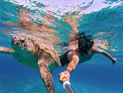 Man snorkeling with big adult green sea turtle in blue water of exotic tropics paradise in Red Sea. Marsa Alam Egypt. Summer holiday in exotic country, activity vacation concept. Marsa Alam Egypt