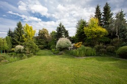 Beautiful spring garden design, with conifer trees, green grass and eneving sun