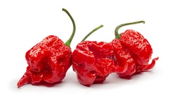 Carolina Reaper, the hottest chile pepper Capsicum chinense, whole ripe pod, isolated on white background. Superhot or extremely hot chile pepper