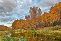 Mellow autumn on river bank