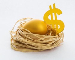 Golden egg and dollar sign in the nest.