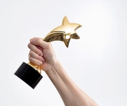 Human hand holding golden star trophy.