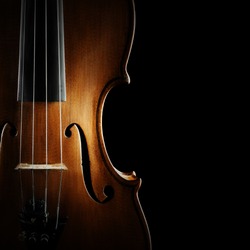 Violin music instrument of orchestra closeup isolated on black 