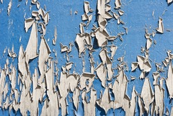 Weathered blue wood with peeling paint