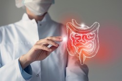 Female doctor holding virtual Intestine in hand. Handrawn human organ, blurred photo, raw photo colors. Healthcare hospital service concept stock photo