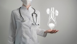  renal system issues medical concept. Photo of female doctor, empty space. 