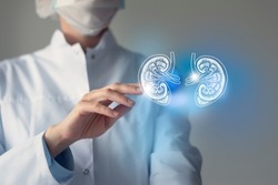 Female doctor touches virtual Kidneys in hand. Blurred photo, handrawn human organ, highlighted blue as symbol of recovery. Healthcare hospital service concept stock photo