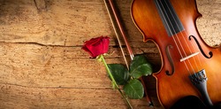 classic retro violin music string instrumt with red rose flower on old oak wood wooden wide panorama background. classical musical romantic valentines day concept.