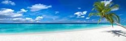 tropical paradise beach with white sand and coco palms travel tourism wide panorama background concept