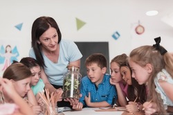 Female Teacher with kids in biology class at elementary school conducting biology or botanical scientific experiment about sustainable Growing plants. Learning about plants in a glass jar
